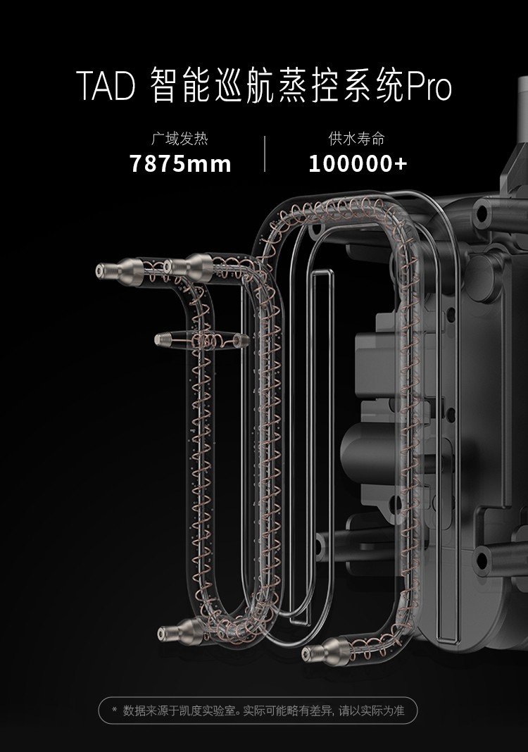 ZDpro_12.jpg